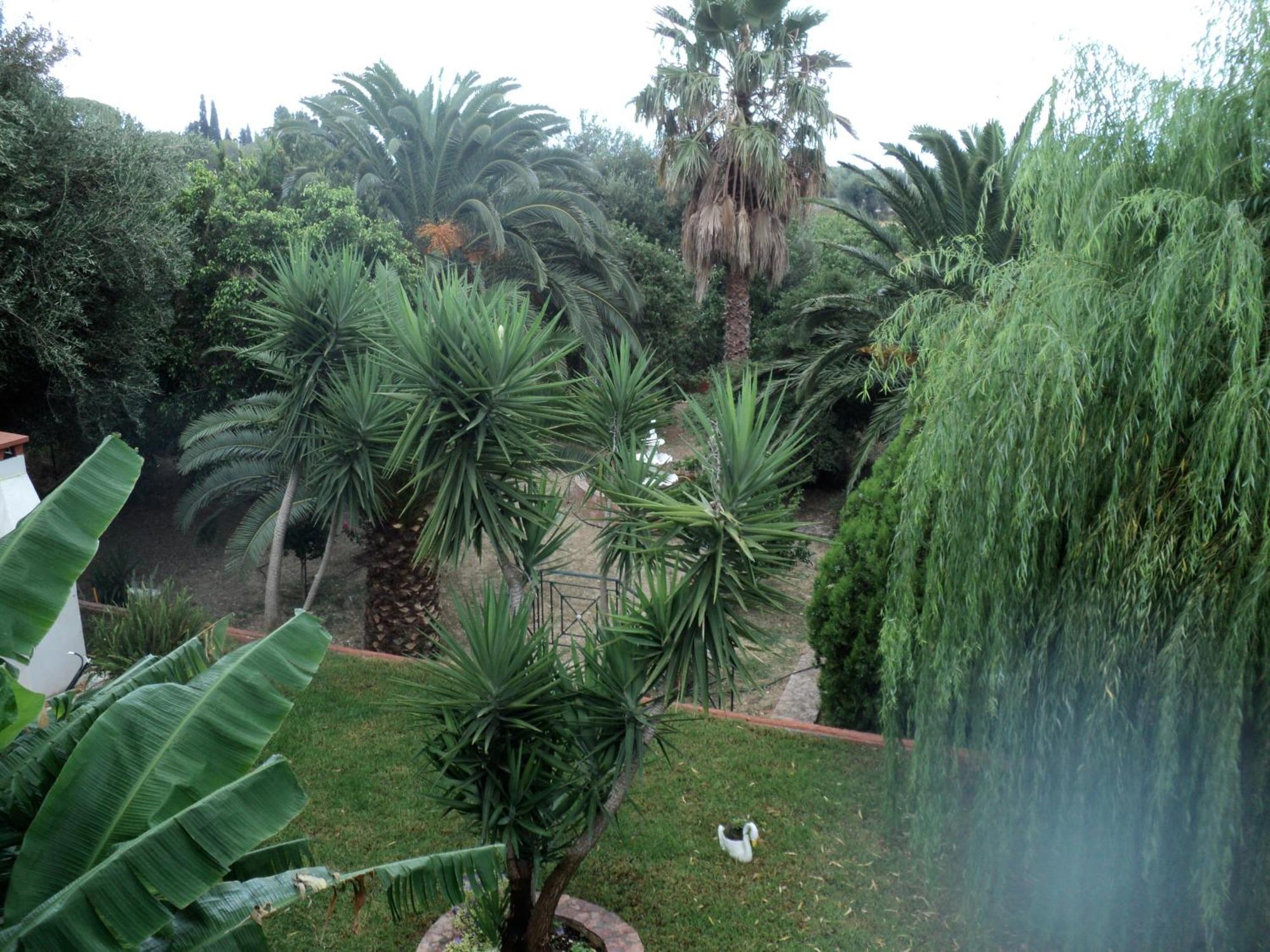 Anastasis Apartments Τραπεζάκι Εξωτερικό φωτογραφία